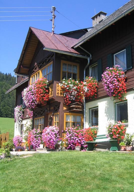 Bauernhof Haim-Schnepfleitner Pichl bei Aussee Exteriér fotografie