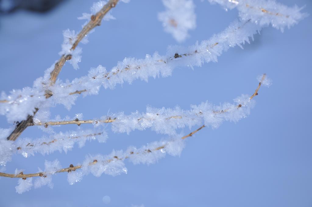 Bauernhof Haim-Schnepfleitner Pichl bei Aussee Exteriér fotografie