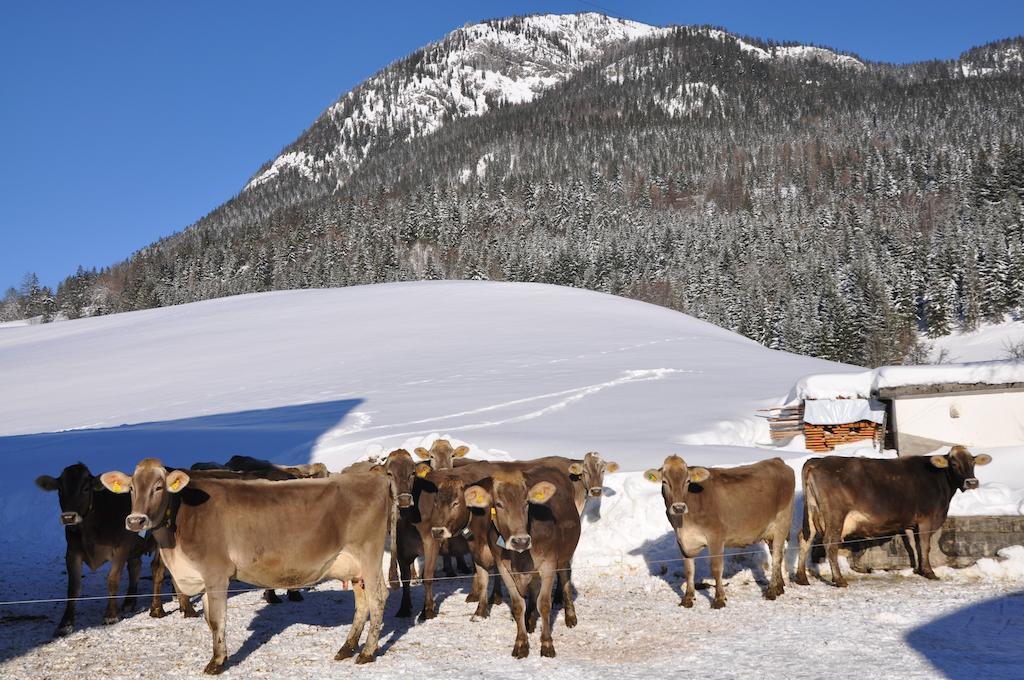 Bauernhof Haim-Schnepfleitner Pichl bei Aussee Exteriér fotografie