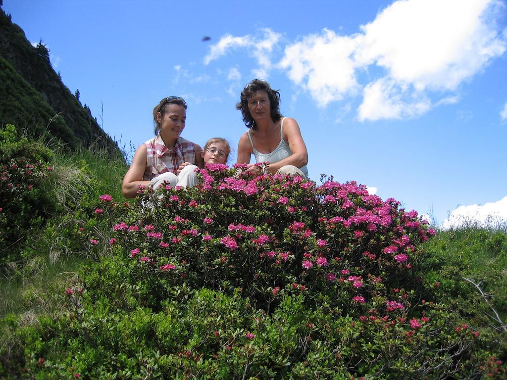 Bauernhof Haim-Schnepfleitner Pichl bei Aussee Exteriér fotografie