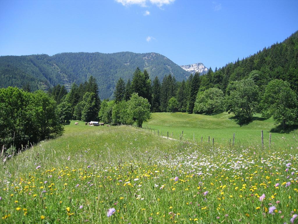 Bauernhof Haim-Schnepfleitner Pichl bei Aussee Exteriér fotografie