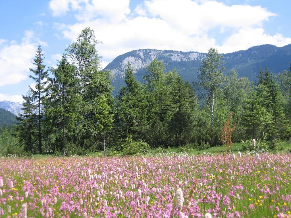 Bauernhof Haim-Schnepfleitner Pichl bei Aussee Exteriér fotografie