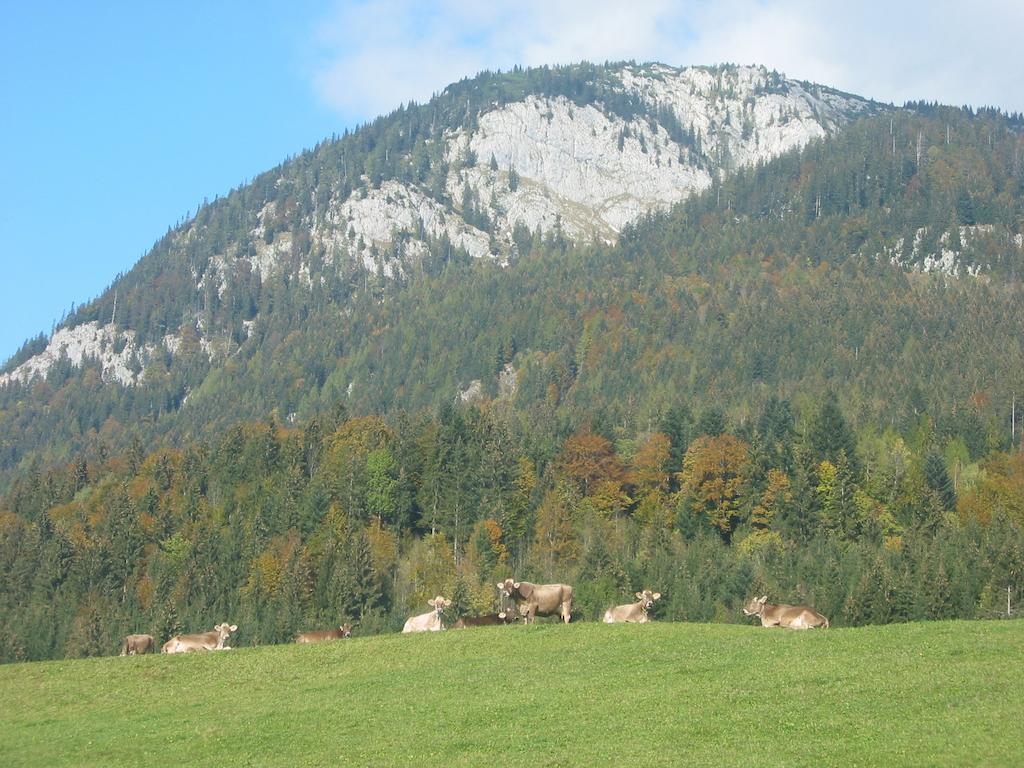 Bauernhof Haim-Schnepfleitner Pichl bei Aussee Exteriér fotografie
